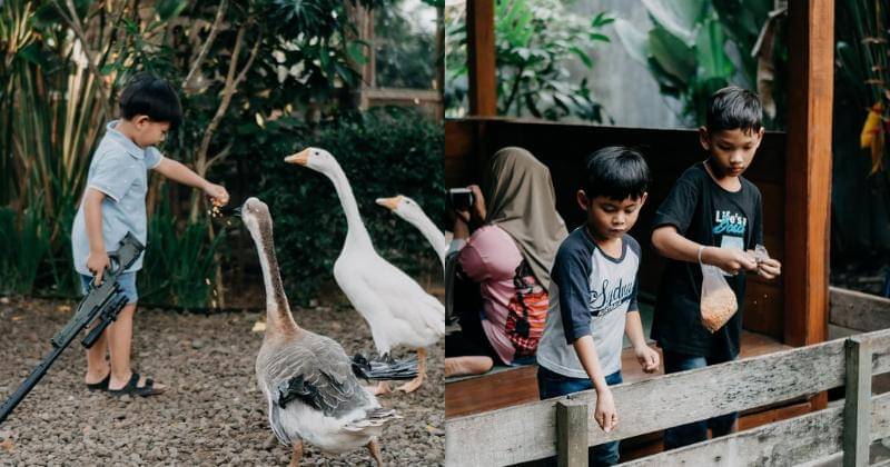 Instagram.com/kebon.tr